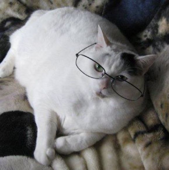 Meet your Posher, Natalie - Picture 1 of 1